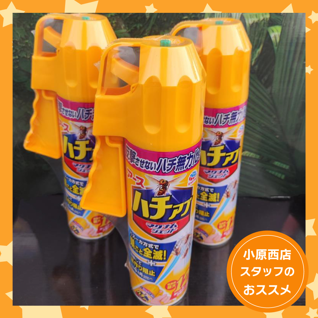 小原西店おすすめ商品